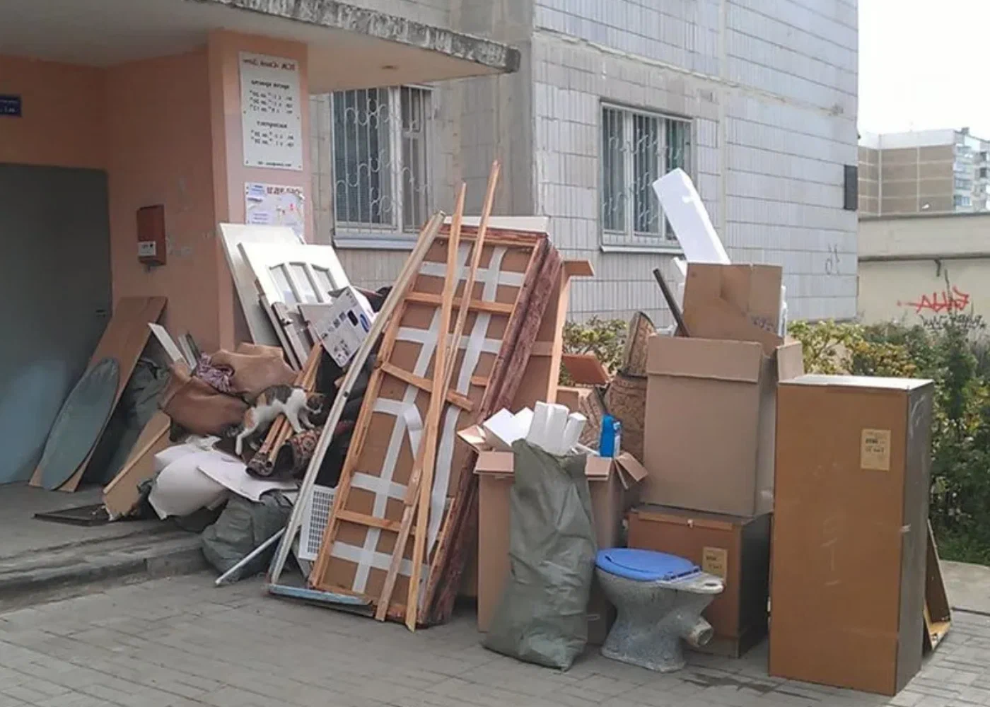 Профессиональный вывоз мусора из квартиры в Тольятти в октябре